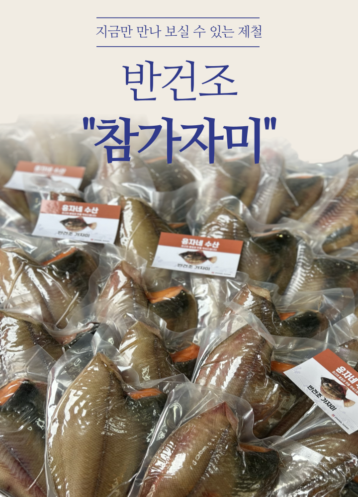 자연산 반건조가자미 참가자미 알가자미 반건조 생선 무염 1kg 