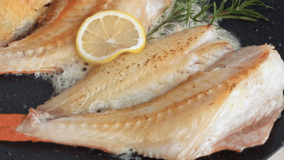 반건조 저염 활복 특대 열기생선 빨간생선 적어 볼락 4~5미 1kg