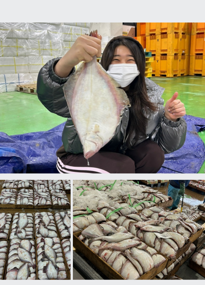 자연산 반건조가자미 참가자미 알가자미 반건조 생선 무염 1kg 