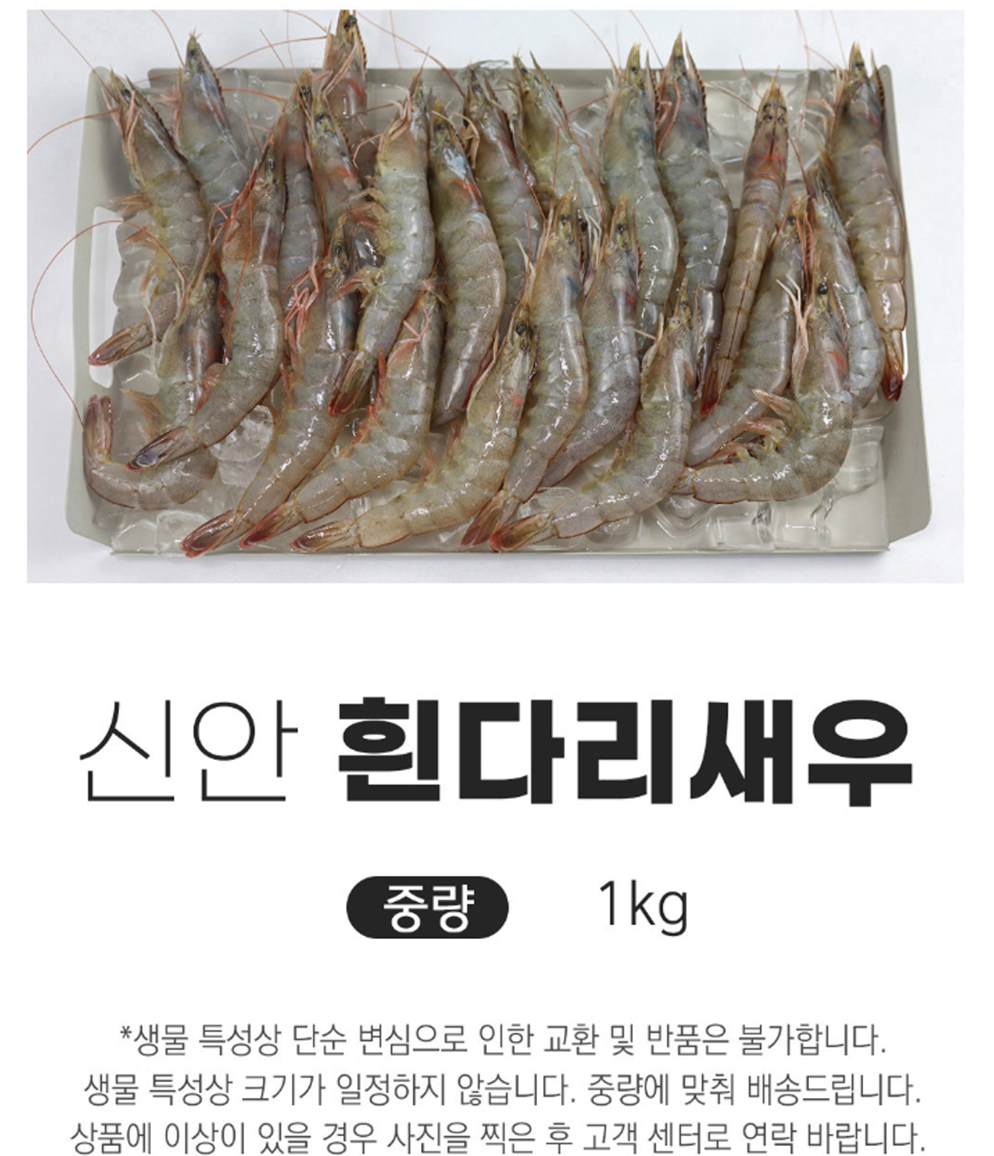 ★단독★국산 제철 활 흰다리새우 1kg 32-34미 내외 대하