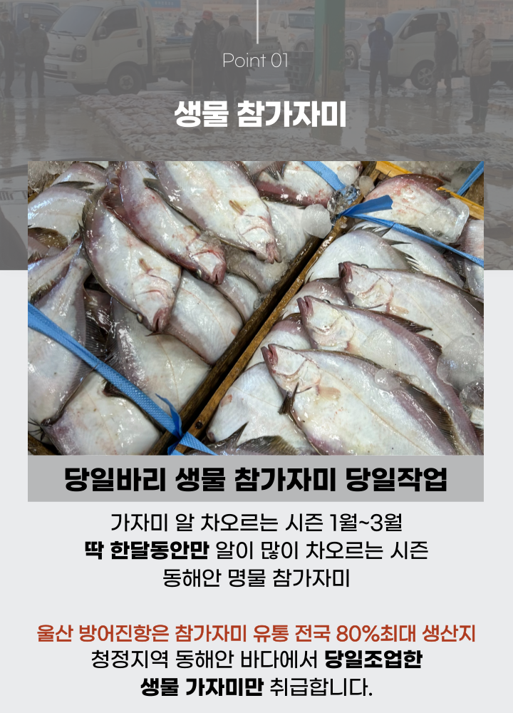 자연산 반건조가자미 참가자미 알가자미 반건조 생선 무염 1kg 